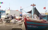 Thừa Thiên - Huế: Sản lượng khai thác hải sản trên biển tăng 22%
