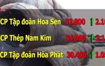Cổ phiếu ngành tôn tăng mạnh sau quyết định áp thuế