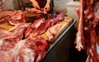Ấn Độ: Tiểu thương kinh doanh thịt bò biểu tình phản đối lệnh cấm giết mổ gia súc