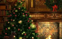 Sẽ thiếu hụt cây thông Noel trong mùa lễ Giáng sinh