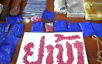 Bắt giữ đối tượng vận chuyển trái phép số lượng lớn hồng phiến và heroin