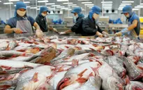 Cần sớm khắc phục tình trạng thủy sản bị trả về