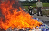 Chỉ đạo của Thủ tướng về việc xử lý thuốc lá nhập lậu bị tịch thu