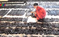 Ngành làm tóc giả Ấn Độ thu hàng trăm triệu USD mỗi năm