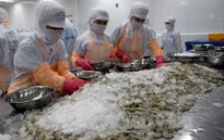 Xuất khẩu thủy sản qua siêu thị ngoại để tìm hiểu thị hiếu người dùng