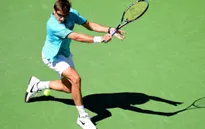 Vòng 1 đơn nam Miami mở rộng 2017: Borna Coric, Tommy Robredo giành quyền đi tiếp