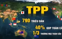 Triển vọng thu hút FDI vào Việt Nam nếu không có TPP