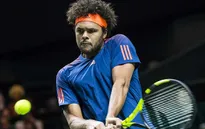 Bán kết quần vợt Rotterdam mở rộng: Tsonga thắng trận thứ 400 trong sự nghiệp