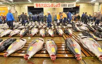 Chợ cá Tsukiji - Chợ hải sản lớn nhất thế giới chuẩn bị di dời