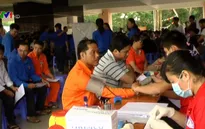 Hàng nghìn CBCNV tham gia Tuần lễ hồng