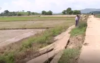 Đăk Lăk: Tuyến đê bao Quảng Điền sạt lở nghiêm trọng