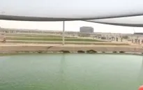 Nông nghiệp trên sa mạc tại UAE