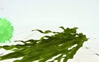 Tìm ra phương pháp chữa ung thư bằng ánh sáng