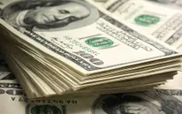 Đồng USD giảm xuống mức thấp nhất trong 30 tháng
