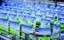 Bị truy thu thuế gần 63 tỷ đồng, Vinamilk “cầu cứu” Thủ tướng