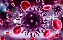 Tìm ra phân tử mới loại bỏ HIV ẩn giấu trong cơ thể
