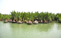 Làm du lịch từ vườn dừa