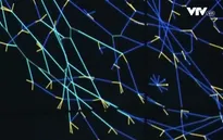 Chống rửa tiền trong web đen nhờ theo dõi dữ liệu trên Internet
