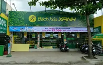 Vượt mặt các chuỗi bán lẻ lâu năm, Bách hóa Xanh đã tìm được “công thức chiến thắng”?