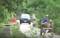 Quảng Nam: Né trạm thu phí, xe ô tô "đổ bộ" qua đường làng