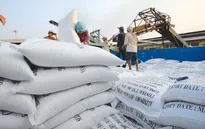Giải pháp nâng cao giá trị gạo xuất khẩu Việt Nam