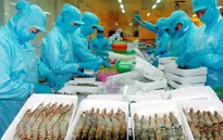 Việt Nam xuất khẩu tôm sang 68 thị trường