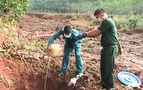 Bình Phước: Xử lý chất độc tồn dư trong chiến tranh