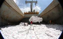 Yêu cầu các ngân hàng cân đối vốn cho vay xuất khẩu gạo