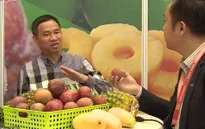 Đẩy mạnh xuất khẩu nông sản chính ngạch sang Trung Quốc