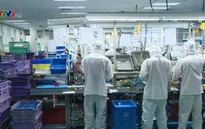 Việt Nam có tỷ lệ xuất nhập khẩu ở hàng cao trên thế giới