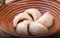 Hướng dẫn phân loại và lựa chọn tổ yến sào chất lượng