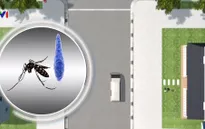 Alphabet phát triển công nghệ tiêu diệt muỗi mang virus Zika