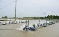 Cần sớm nhân rộng mô hình tiết kiệm điện trong nuôi tôm tại Sóc Trăng