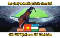 Chung kết U23 châu Á 2018: Gà "tiên tri" dự đoán Việt Nam vô địch