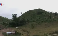 Guatemala giám sát rừng bằng vệ tinh