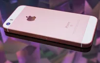 iPhone SE 2 lộ diện ngày ra mắt: Nhỏ nhưng có võ