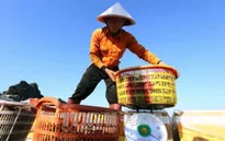 Tháng 1, xuất khẩu nông lâm thủy sản đạt trên 3 tỷ USD