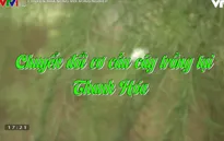Chuyển đổi cơ cấu cây trồng ở Thanh Hóa