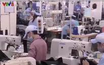 Doanh nghiệp Đà Nẵng chủ động đón đầu EVFTA