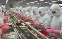 Ngành tôm tăng tốc cuối năm