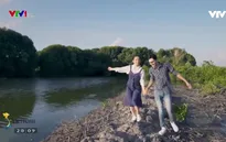 Khám phá những rừng đước Cà Mau mùa nước nổi