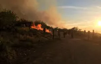 Mỹ: Hơn 19.000 ha rừng bang Arizona bị cháy chỉ vì một bữa tiệc