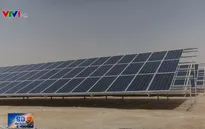 Xu hướng sử dụng năng lượng tái tạo ngày một tăng tại Jordan