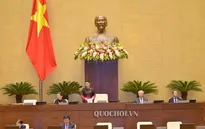 Chủ tịch Quốc hội yêu cầu xử lý nghiêm các vụ "chạy án" bằng bệnh án tâm thần