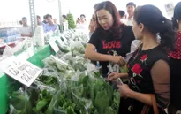 Đẩy mạnh cung cấp sản phẩm nông nghiệp sạch