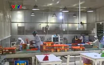 Doanh nghiệp Việt chấp nhận lợi nhuận thấp để đưa hàng vào siêu thị
