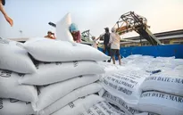 Xuất khẩu gạo thơm Việt Nam đạt giá trị cao