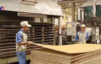 Sản phẩm gỗ Trung Quốc chuyển qua Việt Nam để né thuế?