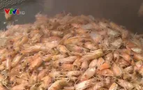 Việt Nam sở hữu hơn 1 triệu tấn/năm nguồn phụ phẩm thủy hải sản