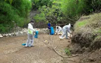 Đăk Lăk triển khai ngăn chặn dịch cúm gia cầm A/H5N6